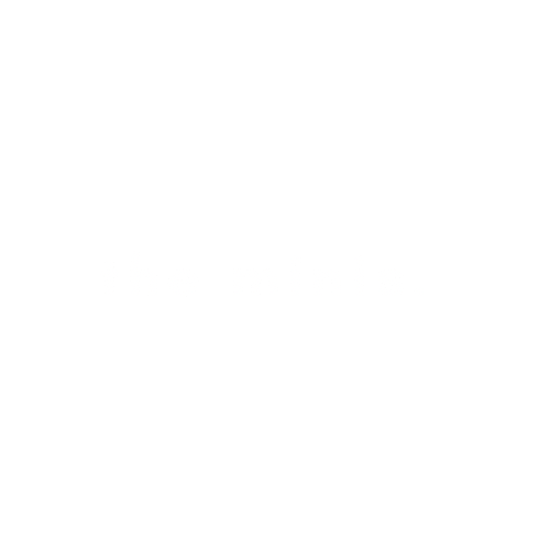 The Minis
